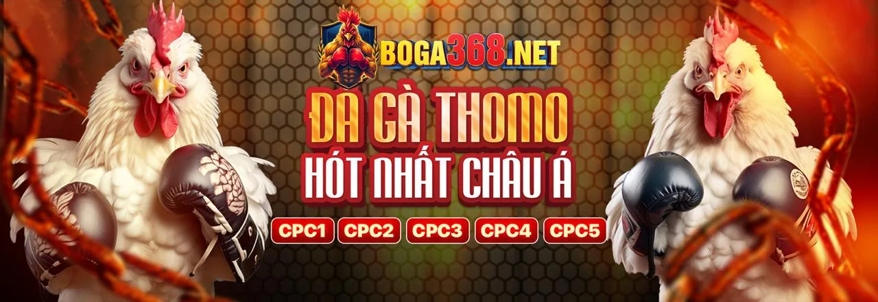 Hình ảnh chính chiến lược và mẹo chơi game pbv